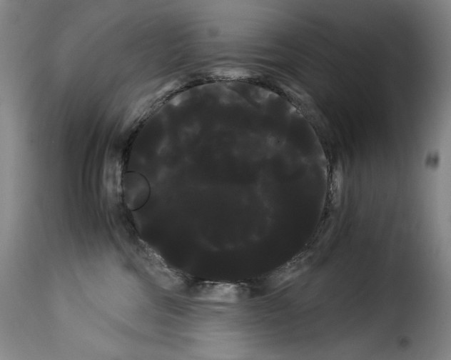 X0000114190330200911200942