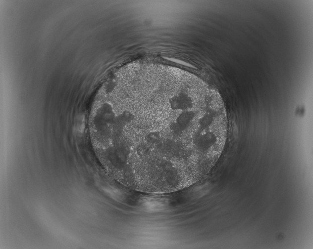 X0000114190331200911200942