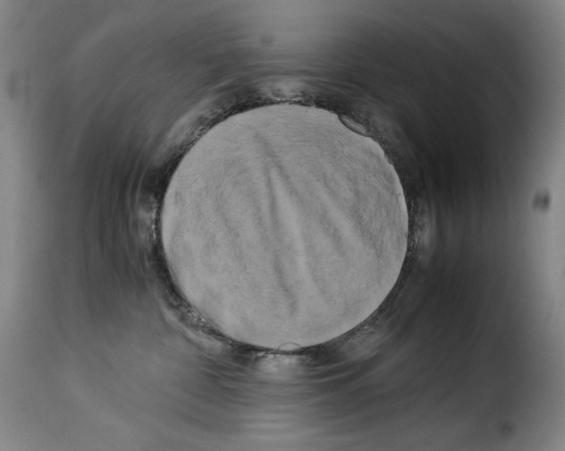 X0000114190332200911200942