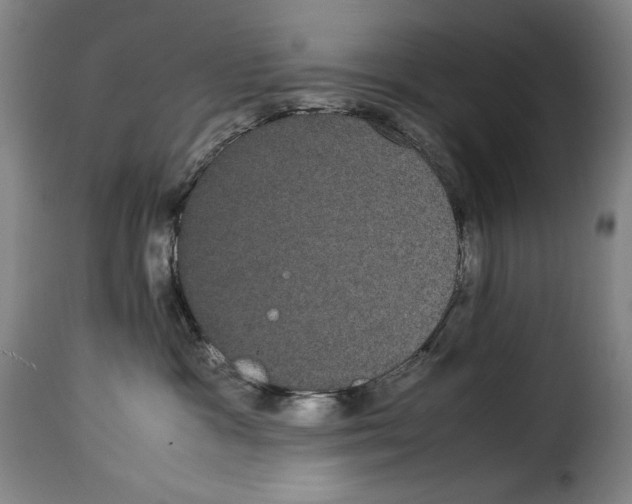X0000114190333200911200942