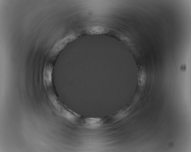 X0000114190334200911200942