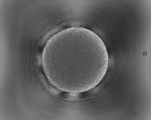 X0000114190335200911200942