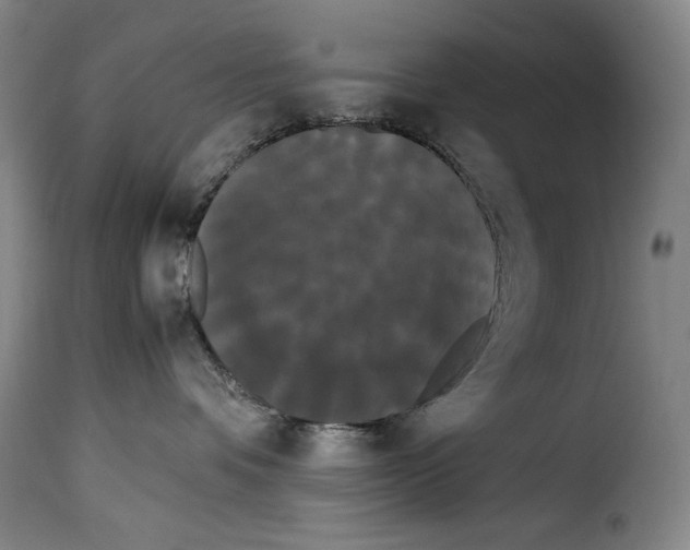 X0000114190336200911200942