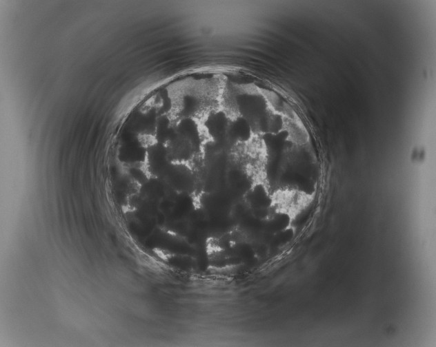X0000114190337200911200941