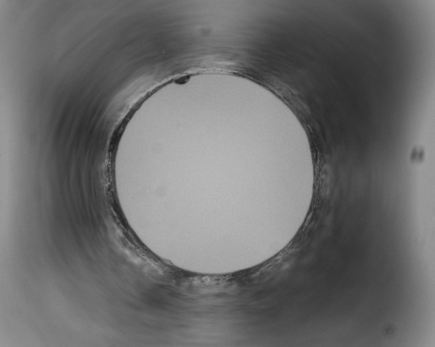 X0000114190338200911200941
