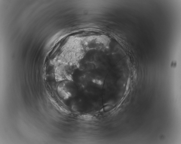 X0000114190339200911200941