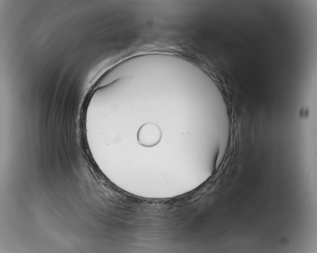 X0000114190340200911200941