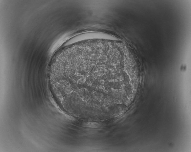 X0000114190341200911200941