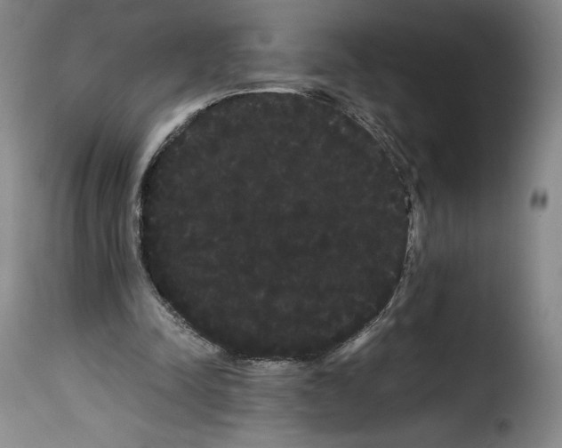 X0000114190342200911200941