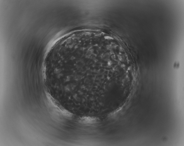 X0000114190343200911200941