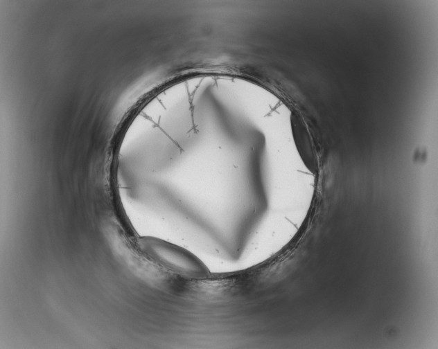 X0000114190344200911200942