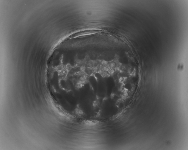 X0000114190346200911200942