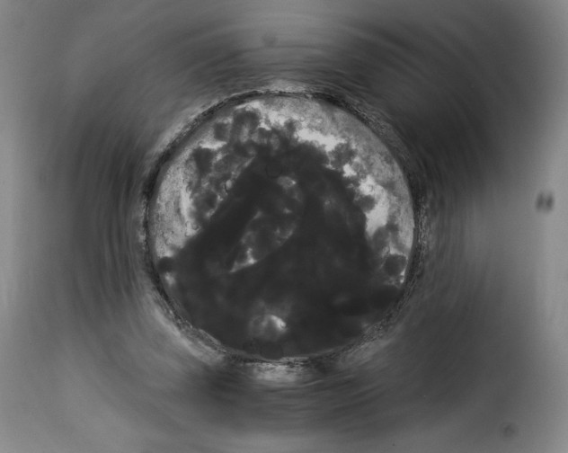 X0000114190347200911200942