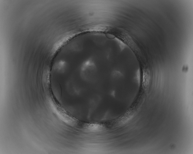 X0000114190348200911200942