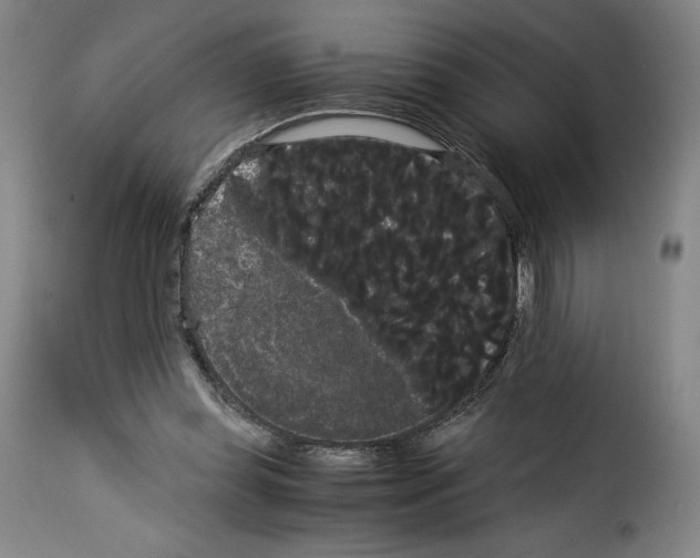 X0000114190349200911200942