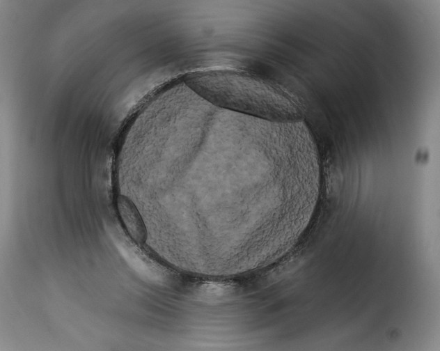 X0000114190350200911200942