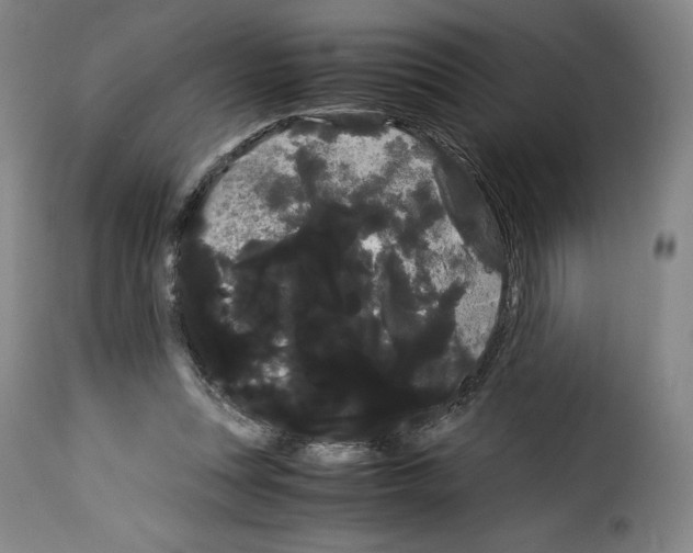 X0000114190351200911200942