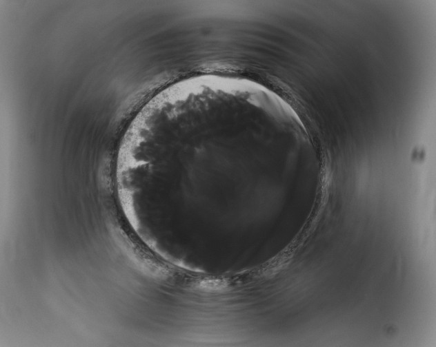 X0000114190353200911200942