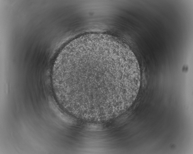 X0000114190354200911200942