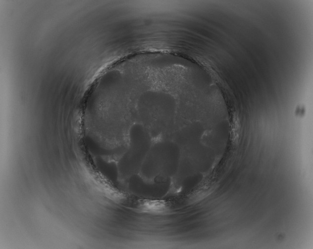 X0000114190355200911200942