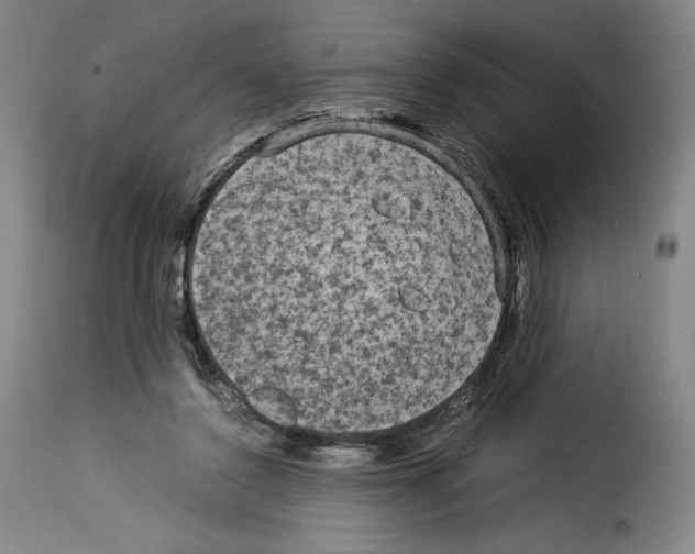 X0000114190356200911200942
