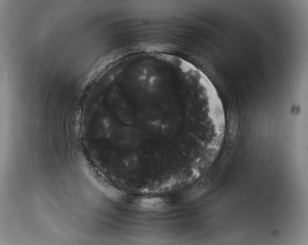 X0000114190357200911200942