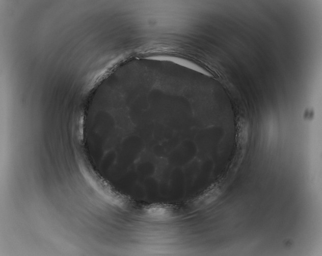 X0000114190358200911200942