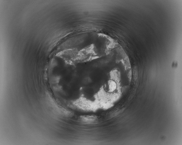 X0000114190359200911200942