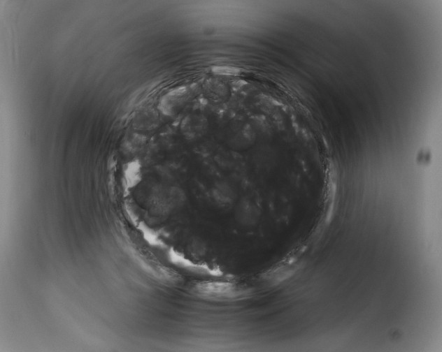 X0000114190361200911200942