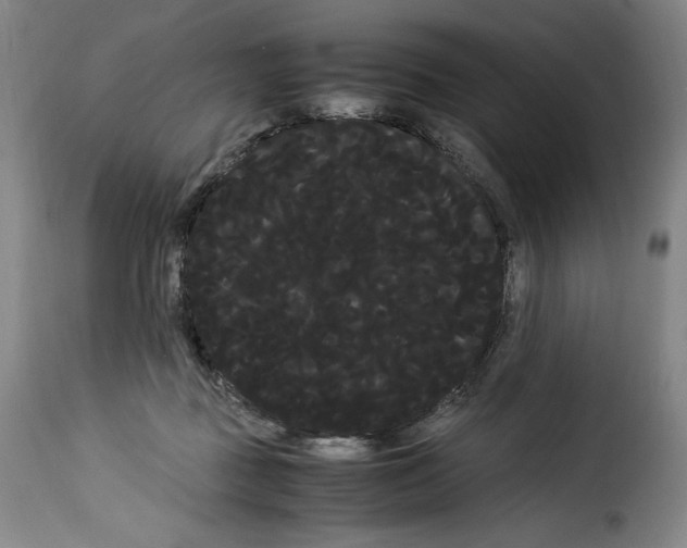 X0000114190363200911200942