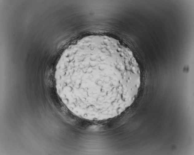 X0000114190364200911200942
