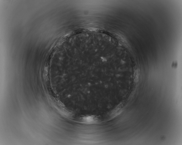 X0000114190365200911200942