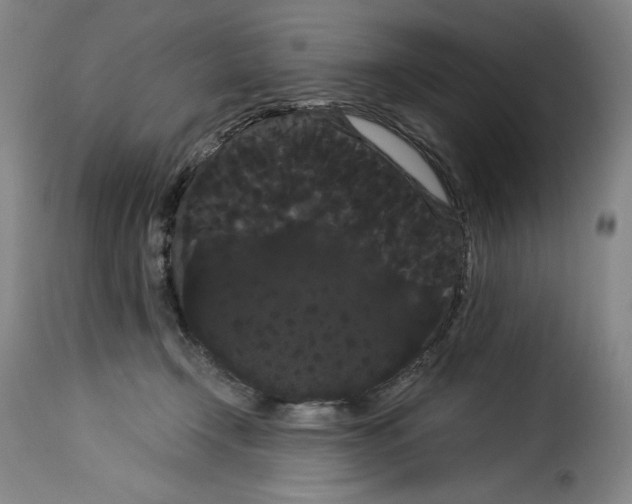 X0000114190366200911200942
