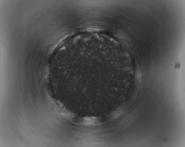 X0000114190367200911200942