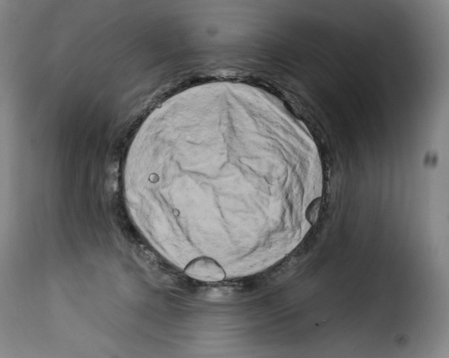 X0000114190368200911200942