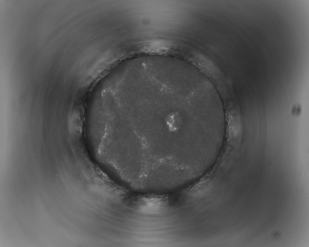 X0000114190370200911200942