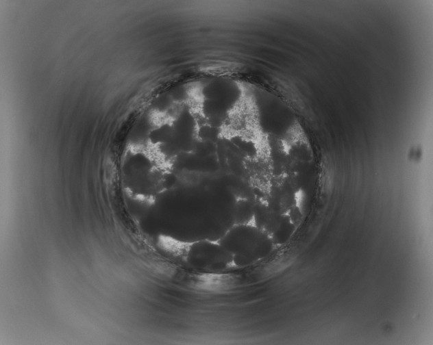 X0000114190371200911200942