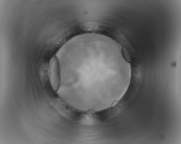 X0000114190372200911200942