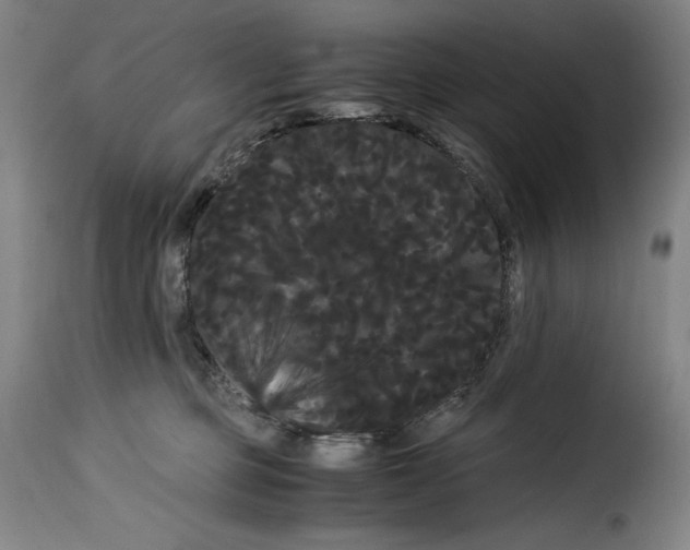 X0000114190373200911200942