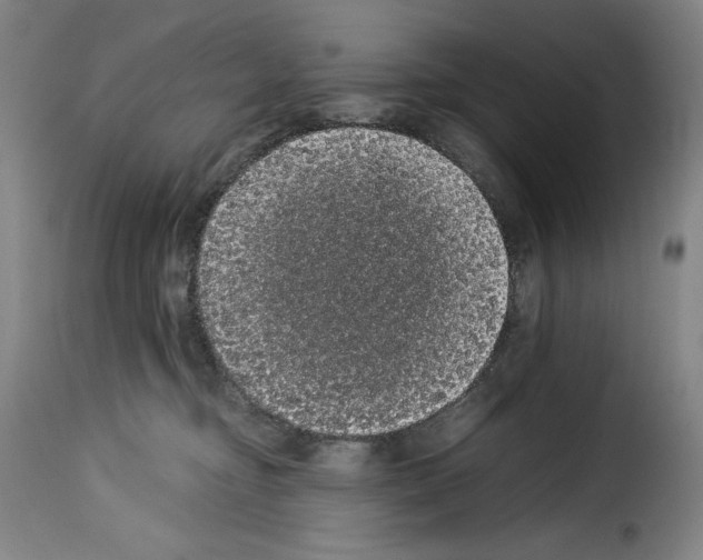 X0000114190374200911200942