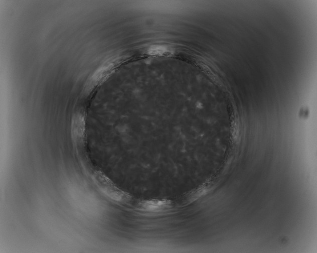 X0000114190375200911200942