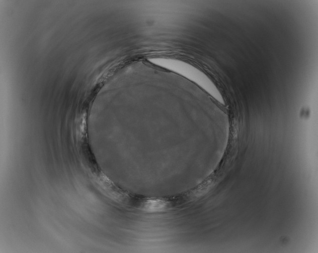 X0000114190376200911200942