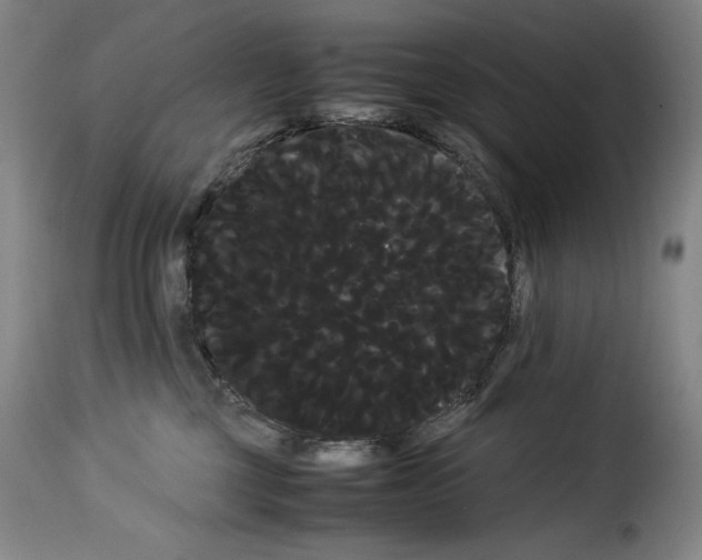 X0000114190377200911200942