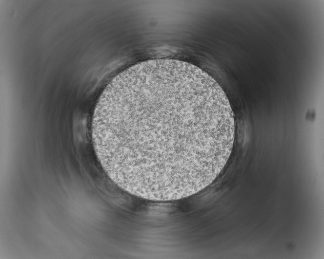 X0000114190378200911200942