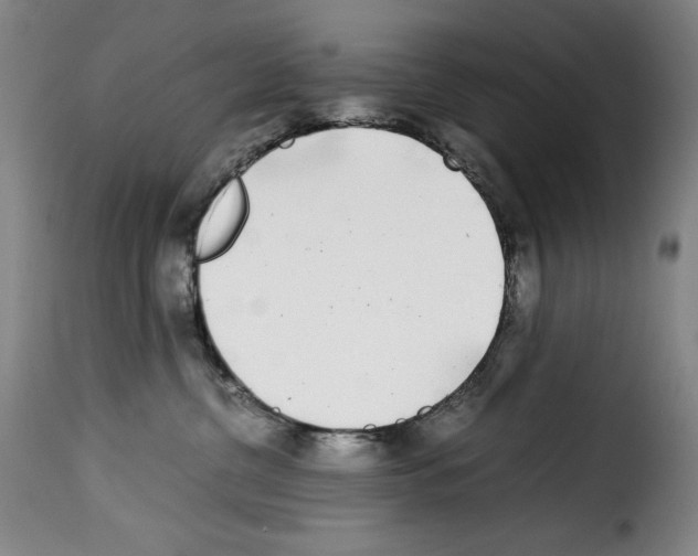 X0000114190380200911200942