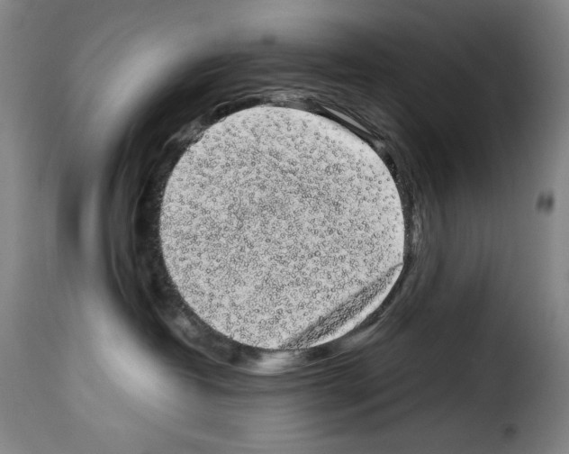 X0000114190382200911200942