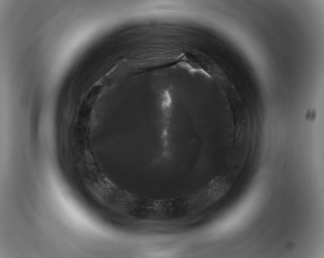 X0000114190383200911200942