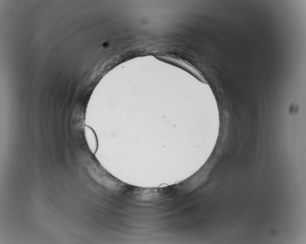 X0000114190384200911200942
