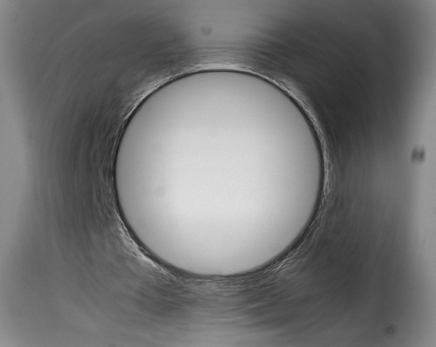 X0000114190385200911200941