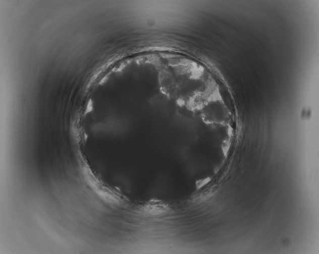 X0000114190386200911200941